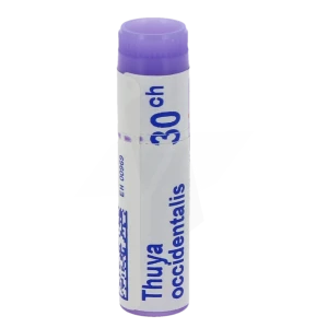 Boiron Thuya Occidentalis 30ch Globules Dose De 1g