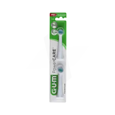 Gum Power Care 4200 Recharge à Chalon-sur-Saône