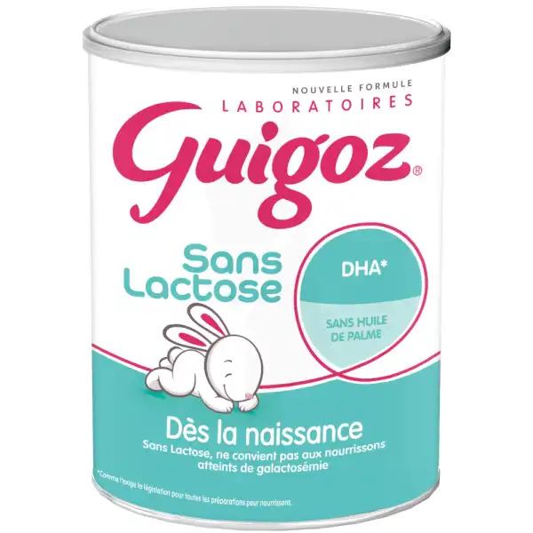 Guigoz Sans Lactose Lait En Poudre B/400g