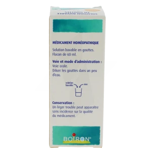 Boiron Aesculus Hippocastanum 4dh Solution Buvable En Gouttes Flacon De 60 Ml