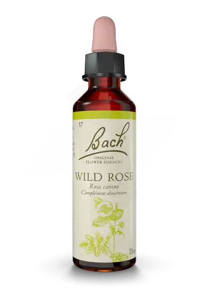 Fleurs De Bach® Original Wild Rose - 20 Ml
