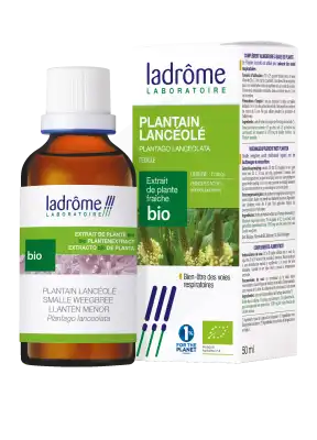 Ladrôme Extrait de Plante Plantain Lanceole Feuille 50ml