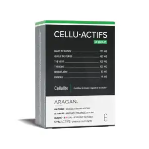 Synactifs Celluactifs Gélules B/60 à Hayange