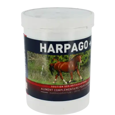 Harpago+ Glé Seau/500g à Toulouse