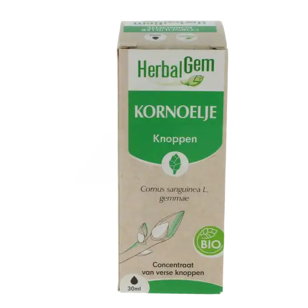 Herbalgem Cornouiller Macérat Bio Fl Cpte-gttes/30ml