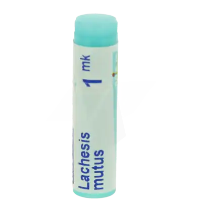 Boiron Lachesis Mutus 1mk Globules Dose De 1g à BRUGES