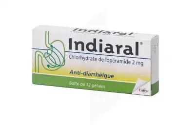 Indiaral 2 Mg, Gélule à SAINT-MEDARD-EN-JALLES