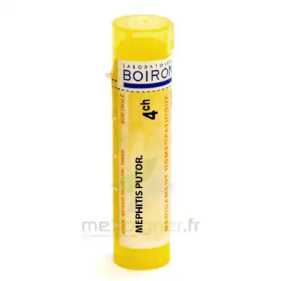 Boiron Mephitis Putorius 4ch Granules Tube De 4g à PERTUIS
