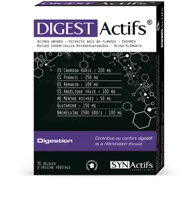 Synactifs Digestactifs Gélules B/30 à NICE