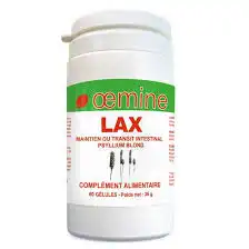 Oemine Lax à ANDERNOS-LES-BAINS