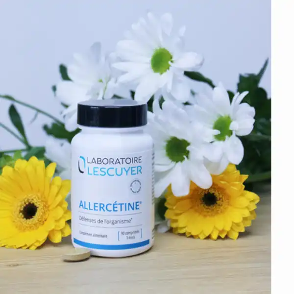 Lescuyer Allercetine Comprimés B/90