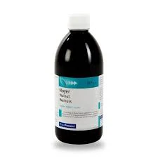 Eps Phytostandard Noyer Extrait Fluide Fl/500ml
