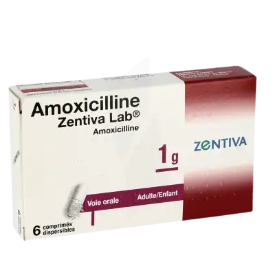 Amoxicilline Zentiva Lab 1 G, Comprimé Dispersible à SAINT-PRIEST