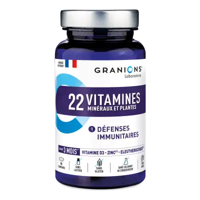 Granions 22 Vitamines Minéraux Et Plantes Comprimés B/90 à IS-SUR-TILLE