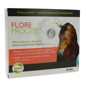Flore Process Cheval Pâte Orale 5ser/20ml