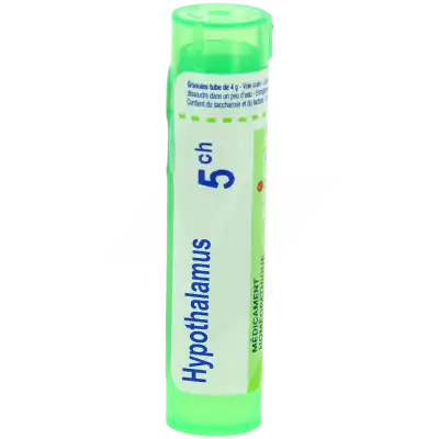 Hypothalamus 5ch Granules à Blere