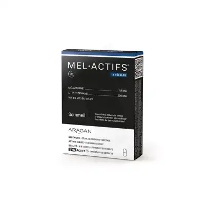Synactifs Melactifs Spray Fl/20ml à Mimizan