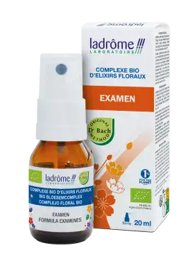 Ladrôme Complexe Elixir Floral Examen 20ml à Gardanne