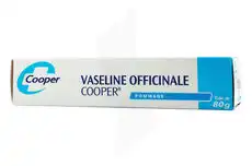 Vaseline Officinale Cooper Pom T/20g à La Ricamarie