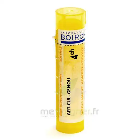 Boiron Articulation Du Genou 4ch Granules Tube De 4g