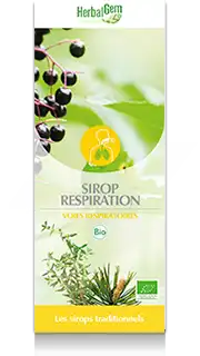 Herbalgem Sirop Bio Respiration Fl/250ml à Vierzon