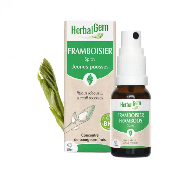 Herbalgem Framboisier Bio Spray Fl/15ml