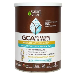 Sante Verte Gca Collagène Bifidus Pdr Pot/390g