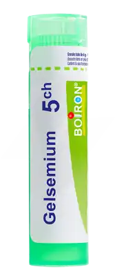 Boiron Gelsemium 5ch Granules Tube De 4g à Pau
