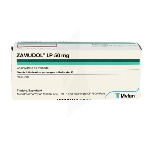 Zamudol Lp 50 Mg, Gélule à Libération Prolongée