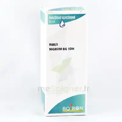 Ribes Nigrum Bg 1dh Flacon Mg 60ml à Plaisir