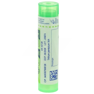 Boiron Trillium Pendulum 5ch Granules Tube De 4g