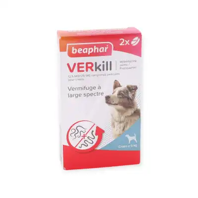 Verkill 12,5Mg/125Mg Chien >5K Cpr B/2