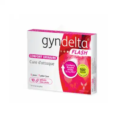 Gyndelta Flash Gélules B/10 à ROMORANTIN-LANTHENAY