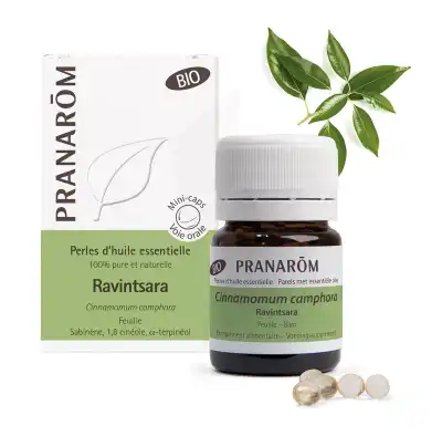 Pranarôm Perles D'huile Essentielle De Ravintsara Bio B/60 à ANDERNOS-LES-BAINS