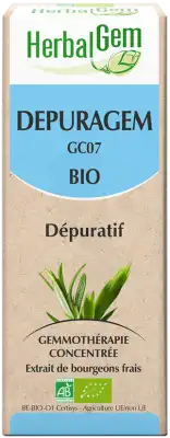 Herbalgem Depuragem Bio 30 Ml à LE LAVANDOU