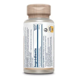 Solaray Reishi Fermenté 500mg Capsules Végétales B/60