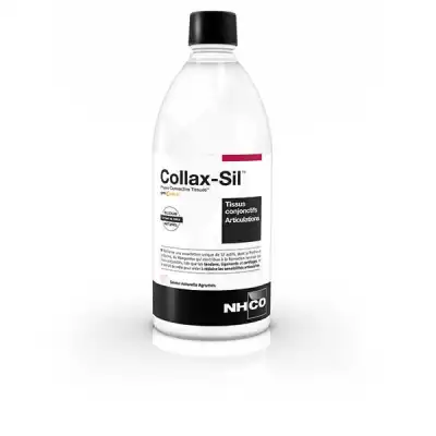 Nhco Nutrition Aminoscience Collax-sil Tissus Conjonctifs Solution Buvable Fl/500ml à ANGLET