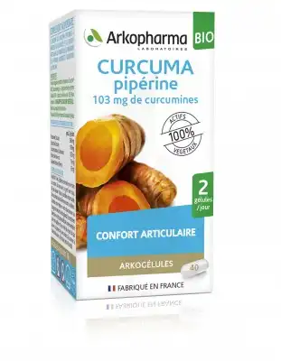 Arkogélules Curcuma + Pipérine Bio Gélules Fl/130 à DURMENACH