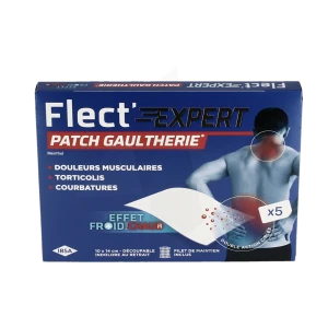 Flect'expert Patch Gaulthérie B/5