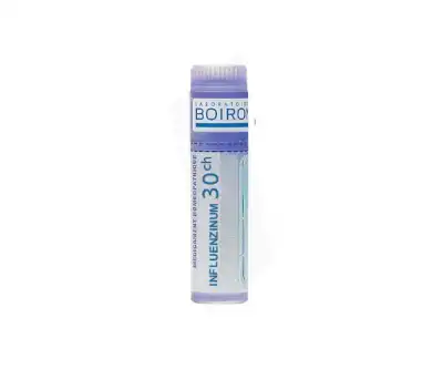 Boiron Influenzinum 30ch Globules Dose De 1g à GRENOBLE