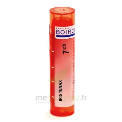 Boiron Iris Tenax 7ch Granules Tube De 4g à EPERNAY