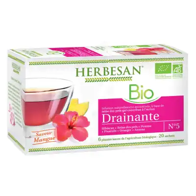 Herbesan Infusion Bio Tisane Drainante 20 Sachets à Drocourt