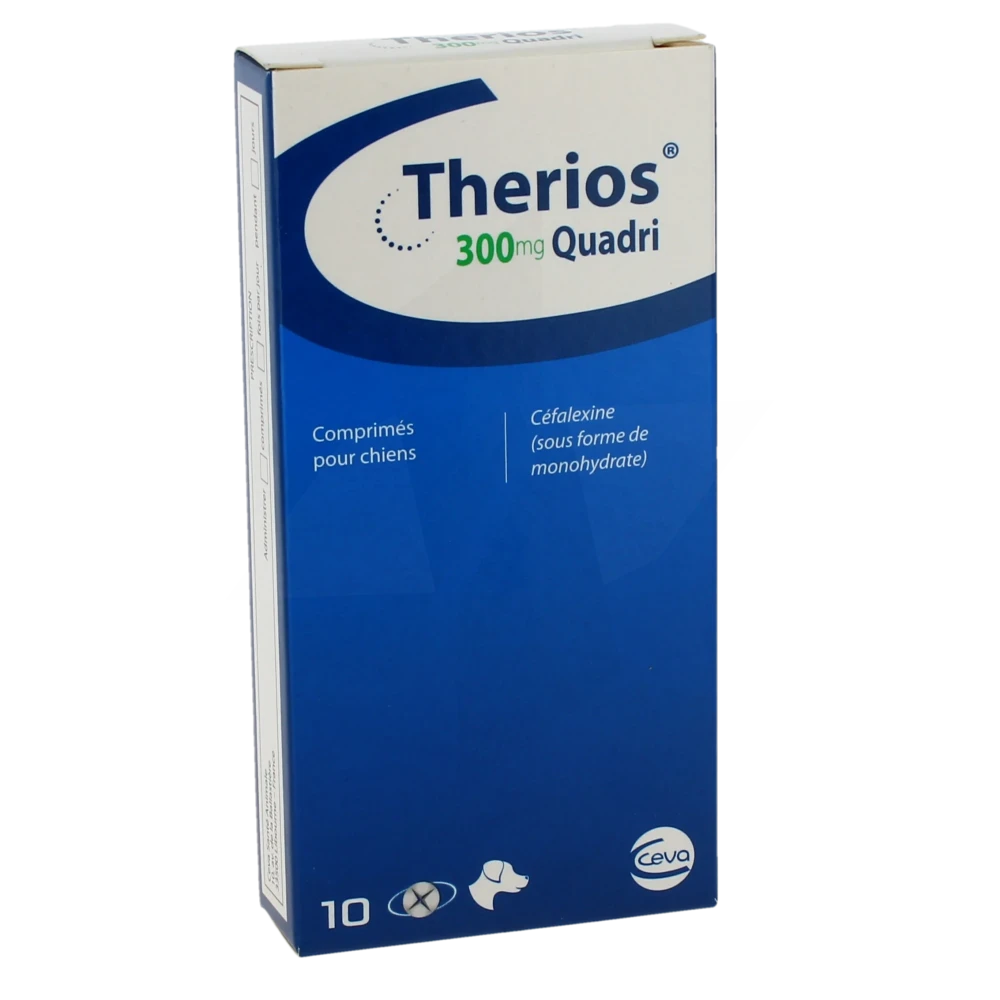 Therios 300 Mg Quadri Comprimes Pour Chien, Comprimé