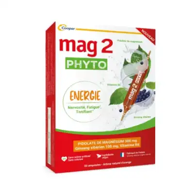 Mag 2 Phyto Energie Solution Buvable 15 Ampoules à TRUCHTERSHEIM