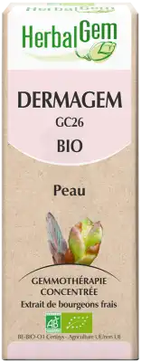 Herbalgem Dermagem Bio 30 Ml à Seysses