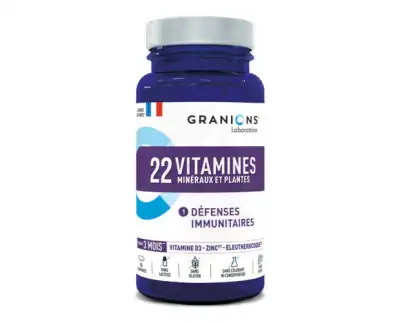Granions 22 Vitamines Minéraux Et Plantes Comprimés B/90 à LORMONT