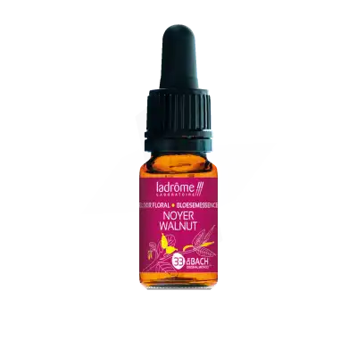 Ladrôme Elixir Floral 33 Noyer 10ml à BOURG-SAINT-MAURICE
