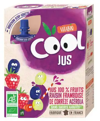 Vitabio Cool Jus Raisin Framboise Acérola à CERNAY