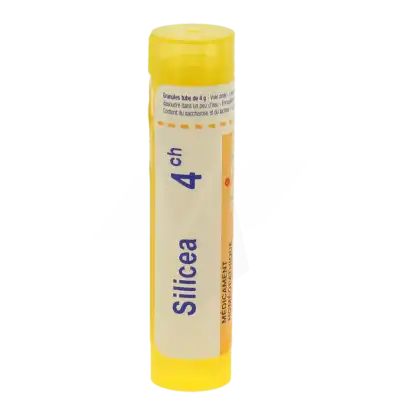 Boiron Silicea 4ch Granules Tube De 4g à La-Valette-du-Var