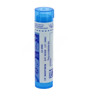 Boiron Thuya Occidentalis 9ch Granules Tube De 4g